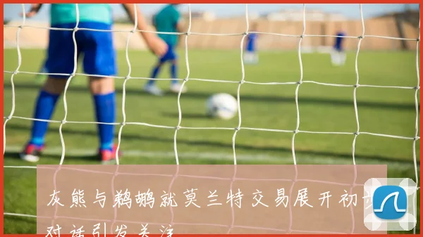 灰熊与鹈鹕就莫兰特交易展开初步对话引发关注