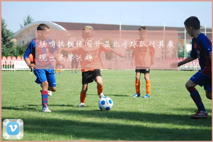 杨鸣执教传闻升温北方球队对其表现出浓厚兴趣