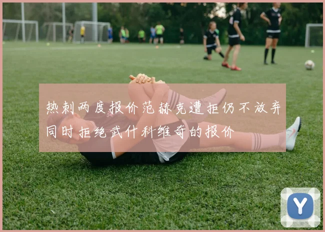 热刺两度报价范赫克遭拒仍不放弃同时拒绝武什科维奇的报价